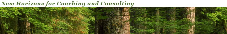 New Horizons for Coaching and Consulting